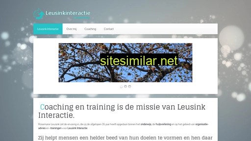 leusinkinteractie.nl alternative sites
