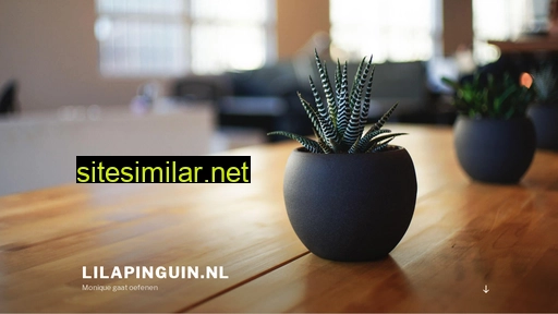 lilapinguin.nl alternative sites