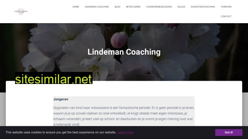 lindemancoaching.nl alternative sites