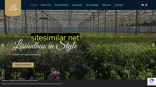 lisianthusinstyle.nl alternative sites