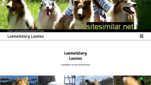 loemeleberg-lassies.nl alternative sites
