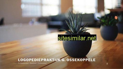 logopediepraktijkijsselstein.nl alternative sites