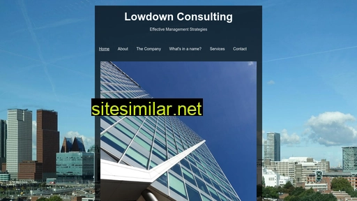lowdownconsulting.nl alternative sites
