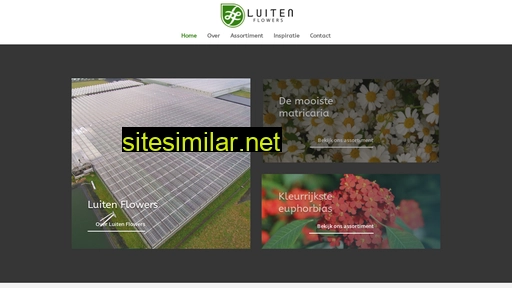 Luitenflowers similar sites