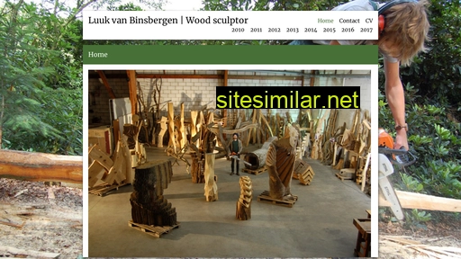 luukvanbinsbergen.nl alternative sites