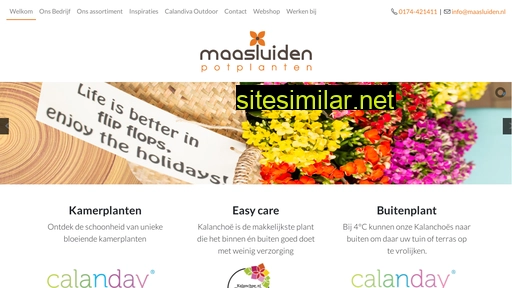maasluiden.nl alternative sites