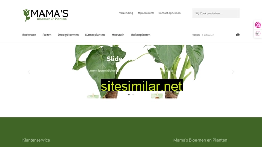mamasbloemenenplanten.nl alternative sites