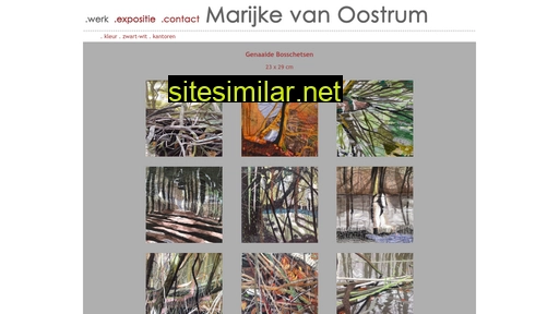 marijkevanoostrum.nl alternative sites