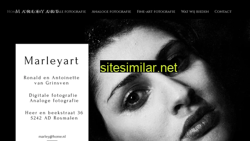 marleyart.nl alternative sites