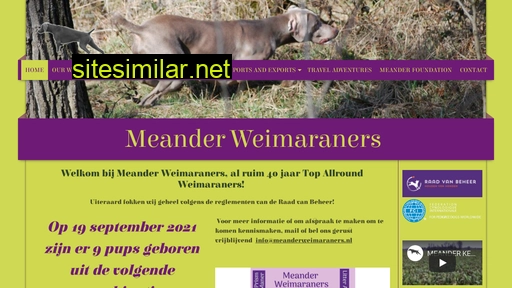 meanderweimaraners.nl alternative sites