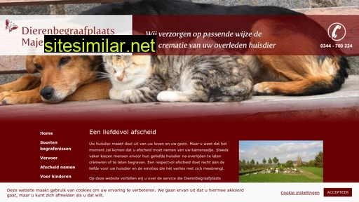 medenstein.nl alternative sites