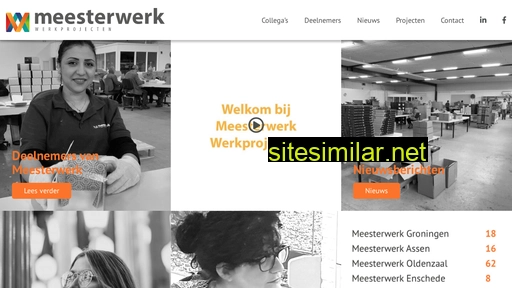 meesterwerkprojecten.nl alternative sites