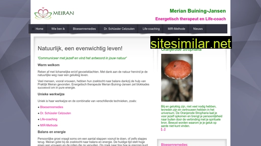 meiran.nl alternative sites