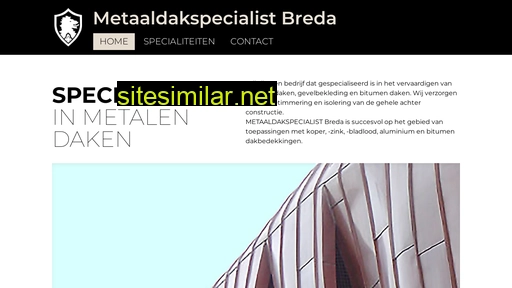 metaaldakspecialist.nl alternative sites