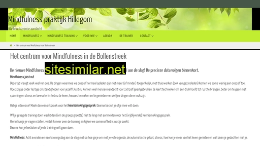 mindfulnesshillegom.nl alternative sites
