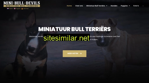 mini-bull-devils.nl alternative sites