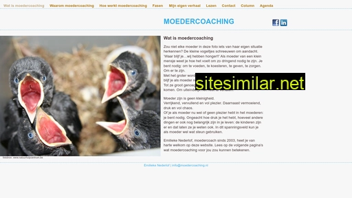 moedercoaching.nl alternative sites