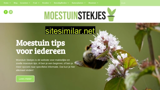 moestuinstekjes.nl alternative sites