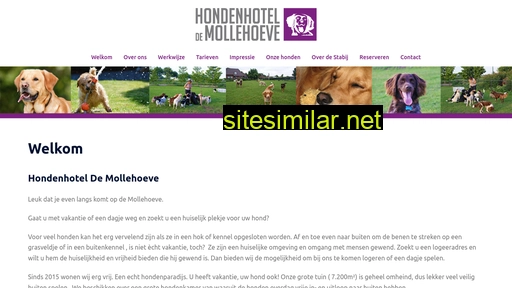 mollehoeve.nl alternative sites