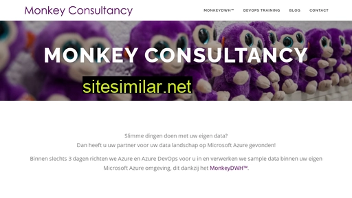 monkeyconsultancy.nl alternative sites