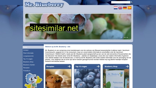 mrblueberry.nl alternative sites