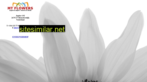 mtflowers.nl alternative sites