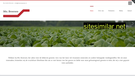 mts-broersen.nl alternative sites