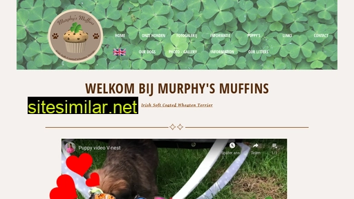 murphysmuffins.nl alternative sites