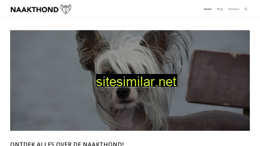 naakthond.nl alternative sites