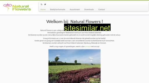 Naturalflowers similar sites