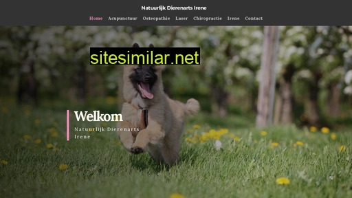 natuurlijkdierenartsirene.nl alternative sites
