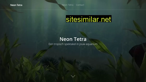 neon-tetra.nl alternative sites