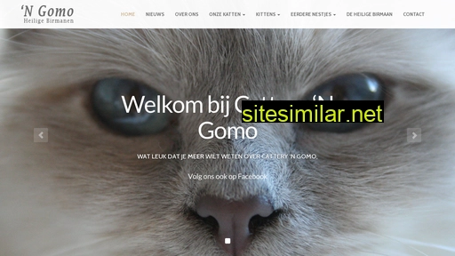 ngomo.nl alternative sites