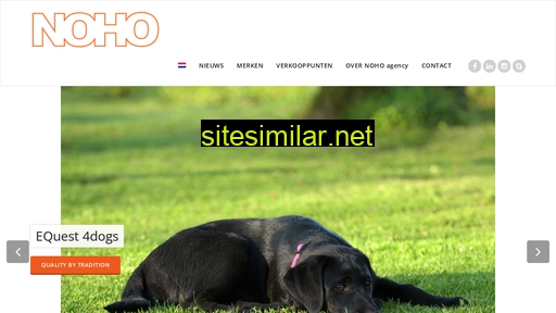 nohoagency.nl alternative sites