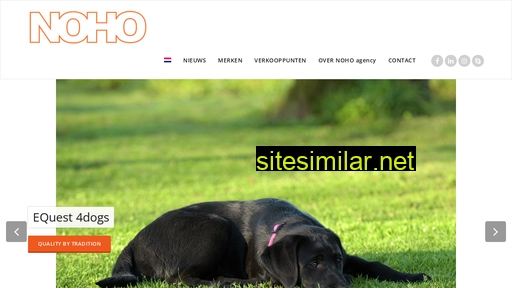 noho.nl alternative sites