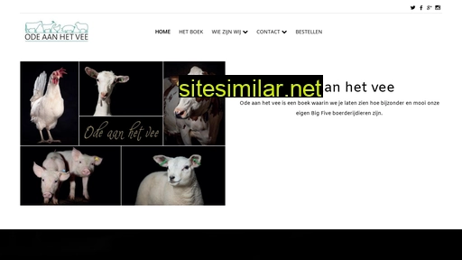 odeaanhetvee.nl alternative sites