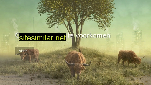 opteamise.nl alternative sites