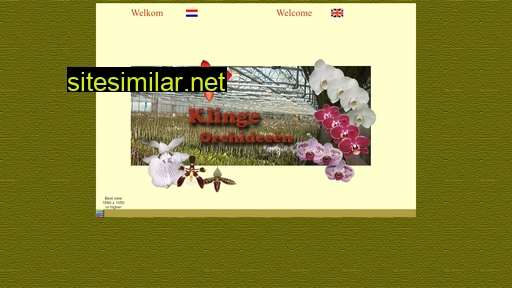 orchids-klinge.nl alternative sites
