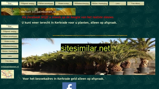 Palmbomen similar sites