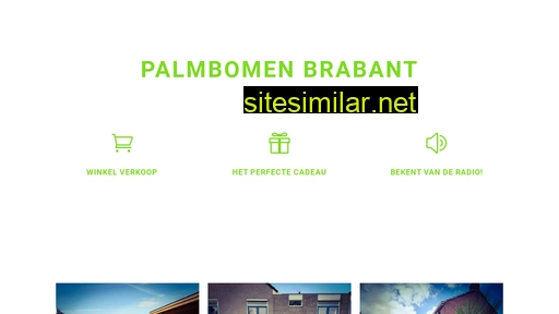 palmbomenbrabant.nl alternative sites