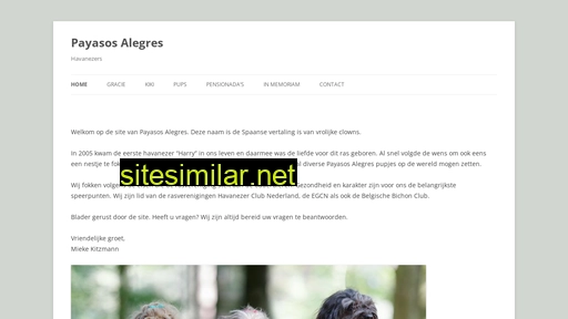 payasosalegres.nl alternative sites