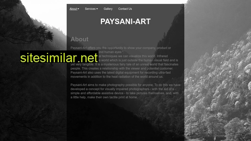 paysani-art.nl alternative sites