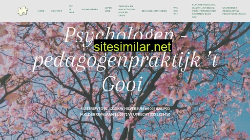 pedagogenpraktijkhilversum.nl alternative sites