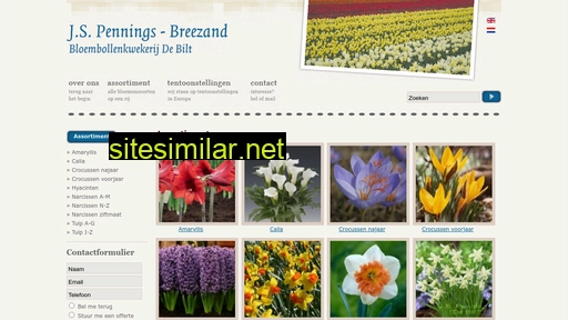 pennings-de-bilt.nl alternative sites