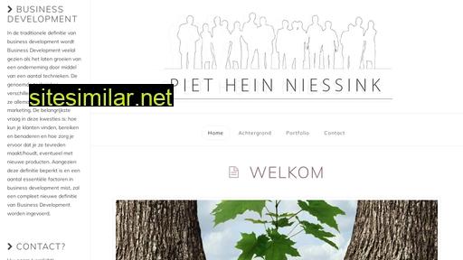 pietheinniessink.nl alternative sites