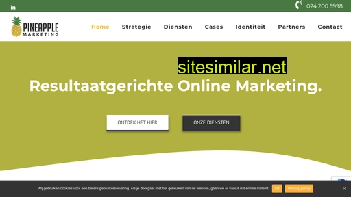 pineapple-marketing.nl alternative sites