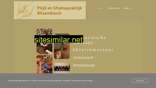 pitjit-en-shiatsupraktijk-blixembosch.nl alternative sites