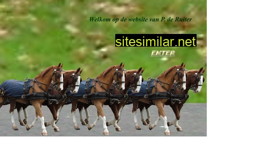 p-deruiter.nl alternative sites
