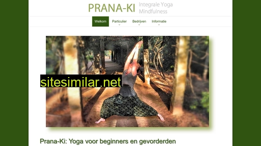 Prana-ki similar sites