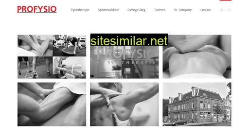 profysio.nl alternative sites